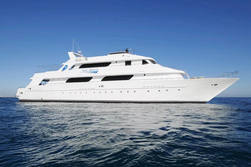 埃及Blue Melody船宿潜水套餐